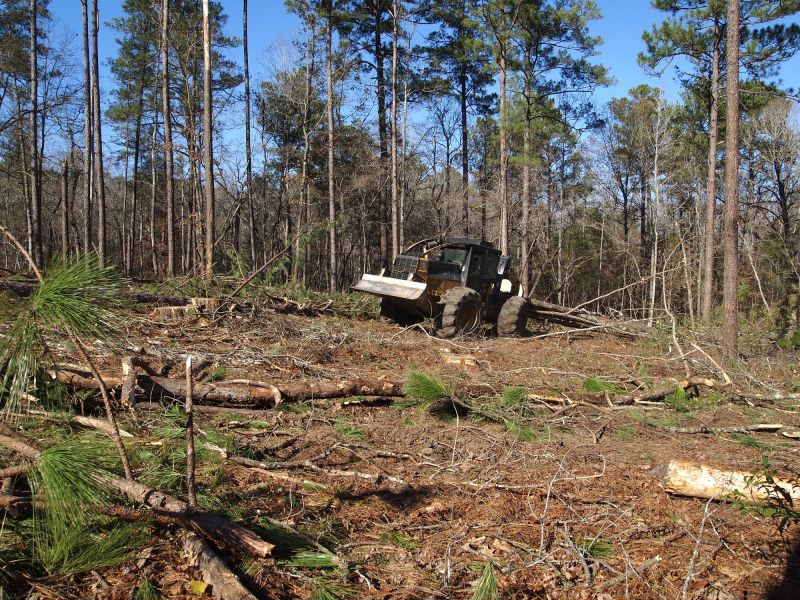 Equipment Used in Land Clearing
