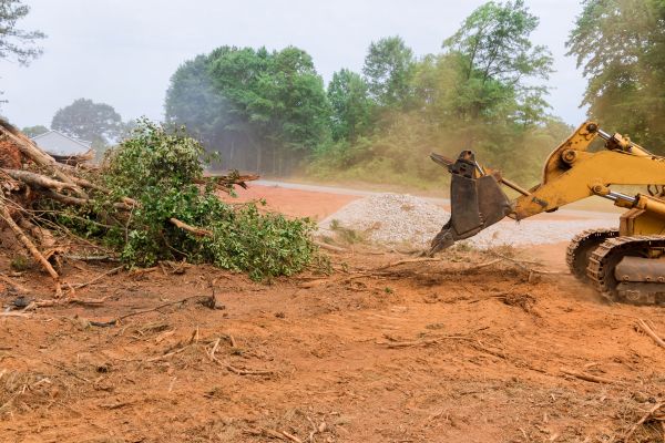 Cost of Ground Clearing in Dover