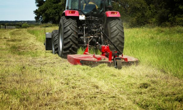 Cost of Brush Clearing Service in Dover
