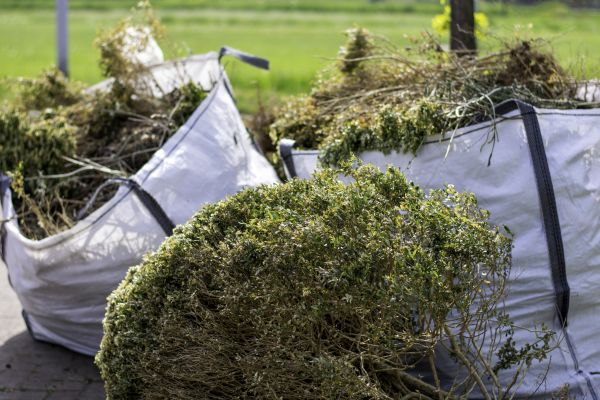 Cost of Bushes Clearing in Dover