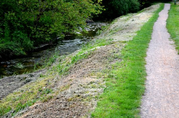Cost of Trail Cutting in Dover